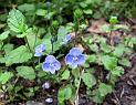 2010-06-12, Uttewalder Grund (27)